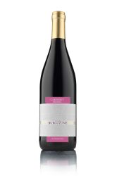  CABERNET FRANC PREMIUM 750ML - CHATEAU BURGOZONE