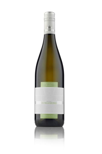 SAUVIGNON BLANC  750ML - CHATEAU BURGOZONE