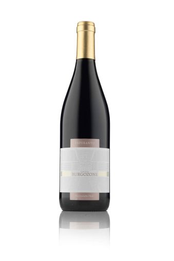 ESPERANTO - CABERNET,SYRAH,GAMZA PREMIUM 750ML -CHATEAU BURGOZONE