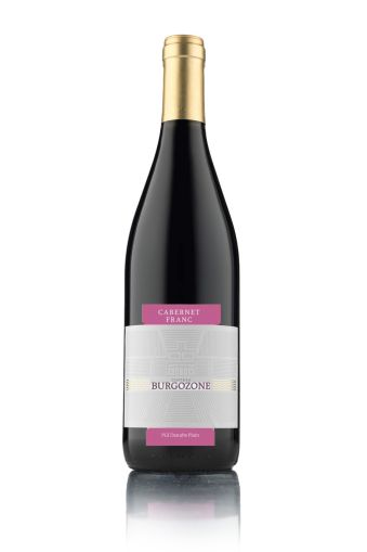  CABERNET FRANC PREMIUM 750ML - CHATEAU BURGOZONE