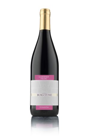  CABERNET FRANC PREMIUM 750ML - CHATEAU BURGOZONE