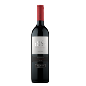 1865 CARMENERE SELECTED VINEYARD 750ML - SAN PEDRO WINERY